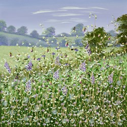 Wild Meadow Flowers by Mary Shaw - Original Painting on Board sized 24x24 inches. Available from Whitewall Galleries
